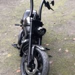 night rod fork covers